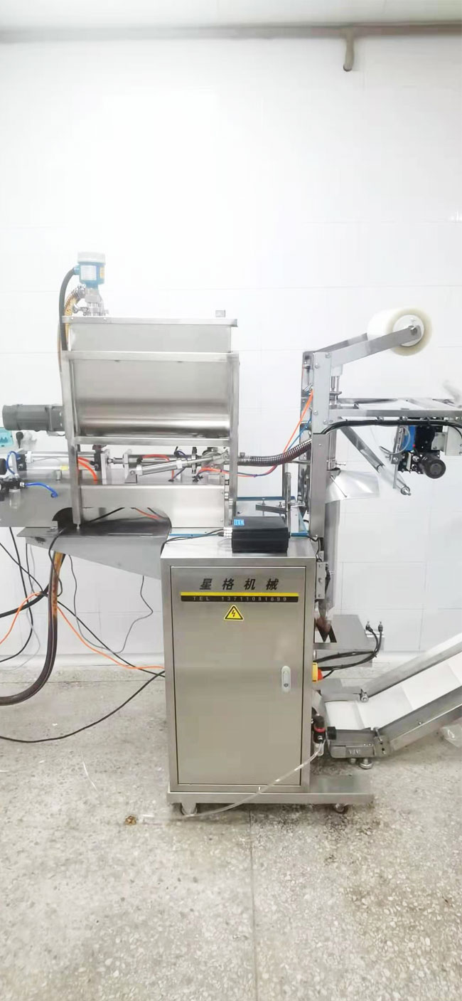 東莞大灣區(qū)食品廠(圖3)